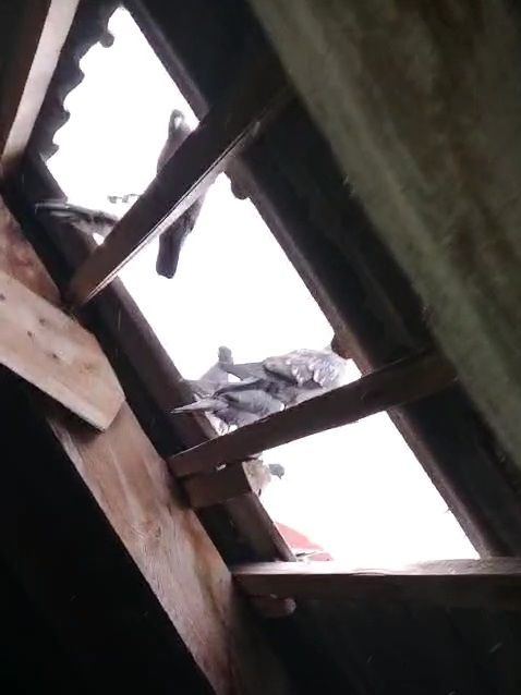 VideoCapture_20260717-121054.jpg
