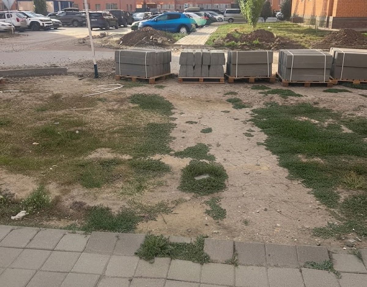 foto chitatelei NG (1).jpg