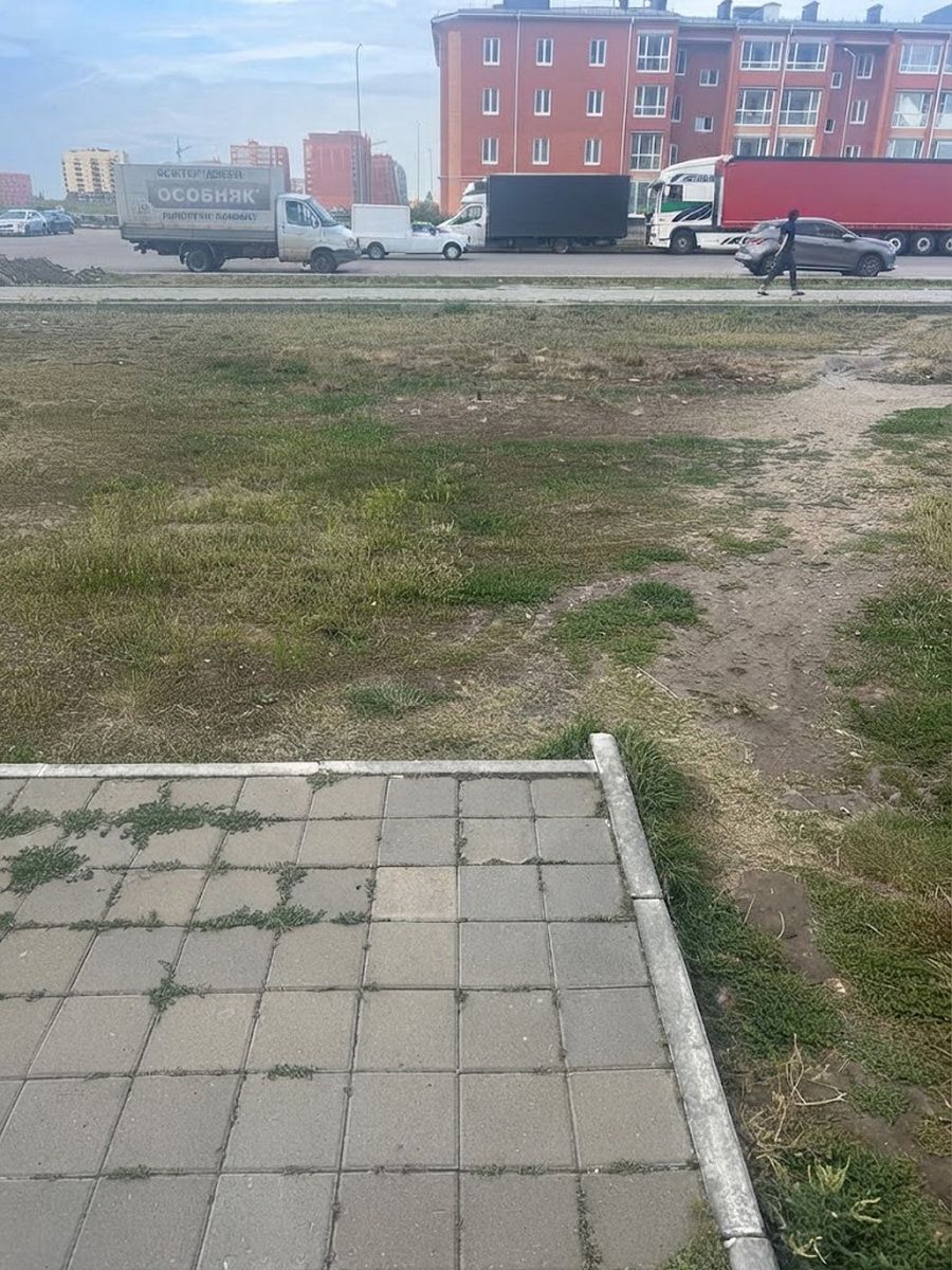 foto chitatelei NG (2).jpg