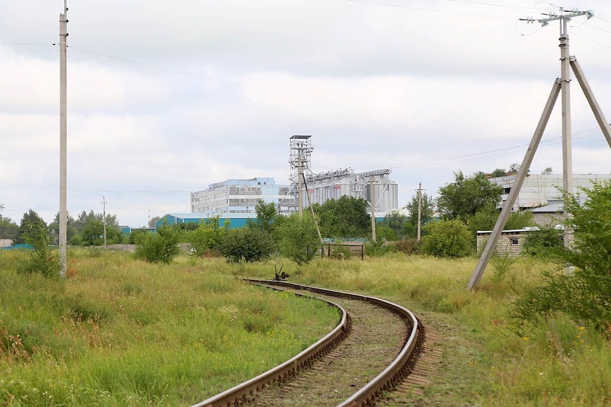 gp6.jpg