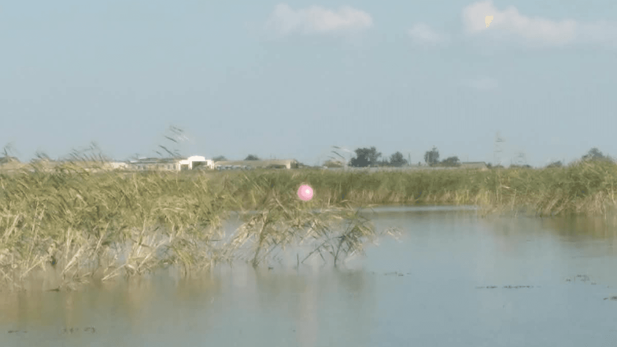 image(6).png