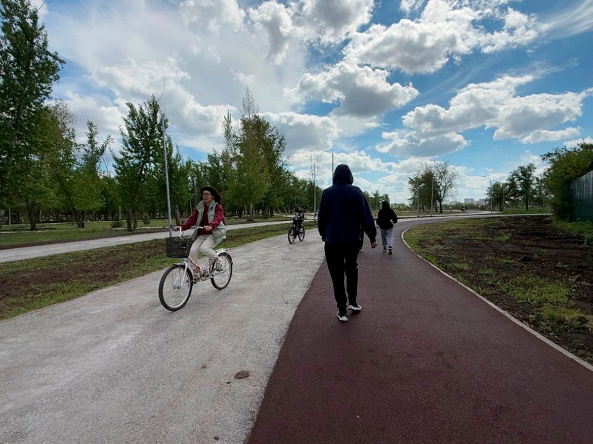 velo4.jpg